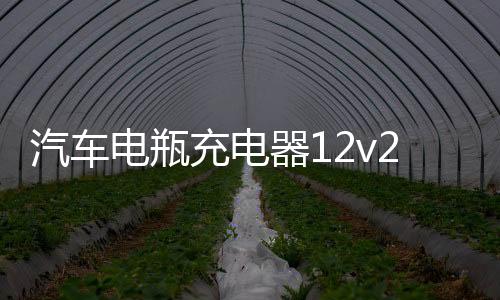 汽车电瓶充电器12v24v智能全自动大功率agm启停通用摩托车蓄电池