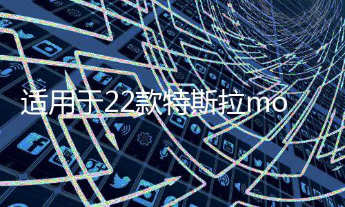 适用于22款特斯拉model3门槛条装饰迎宾踏板贴纸碳纤维改装配件