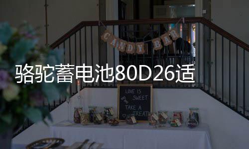 骆驼蓄电池80D26适配丰田凯美瑞锐志RAV4比亚迪S6F6奔腾汽车电瓶
